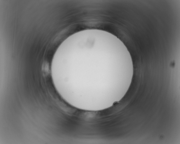 X0000116290089200912211849