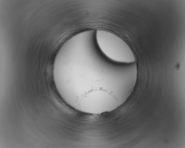 X0000116290092200912211849