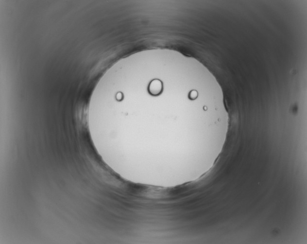 X0000116290094200912211849