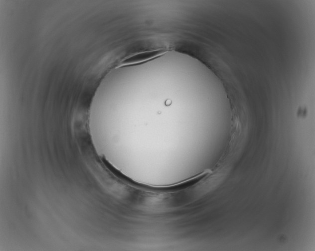 X0000116290096200912211849