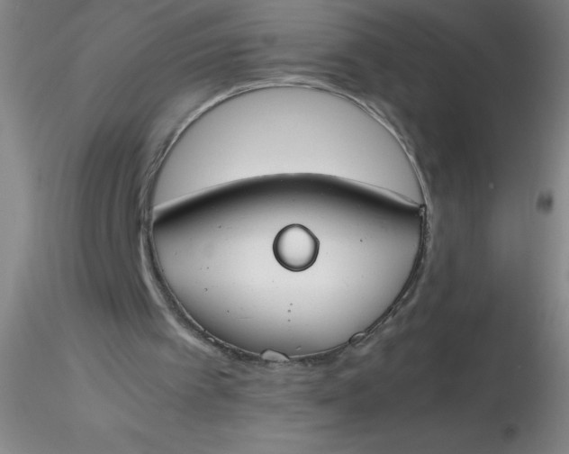 X0000116290097200912211849