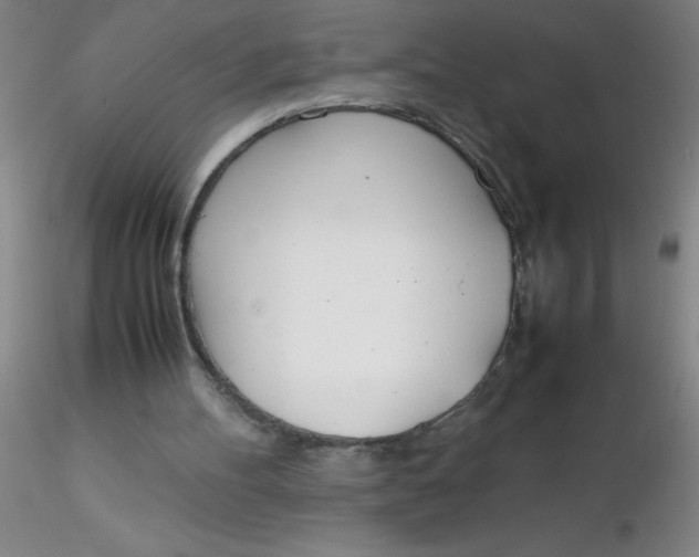 X0000116290100200912211849