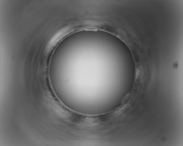 X0000116290101200912211849