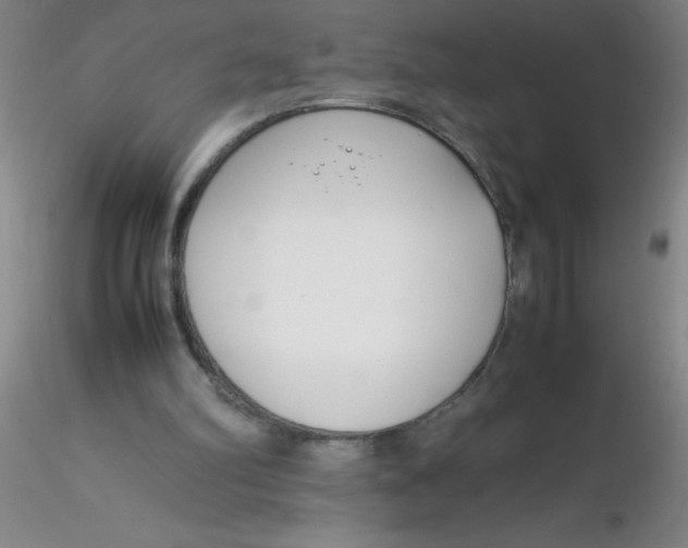 X0000116290102200912211849