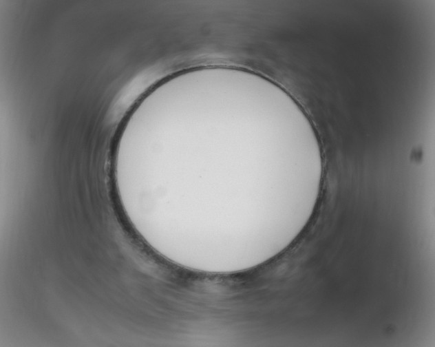 X0000116290103200912211849