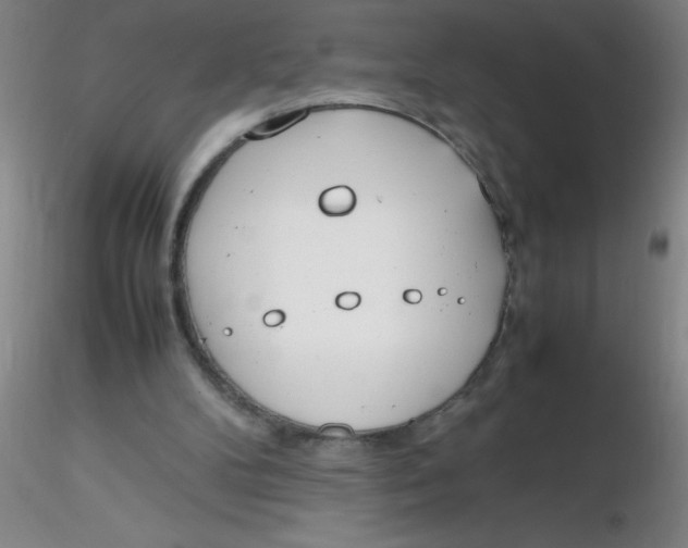 X0000116290104200912211849