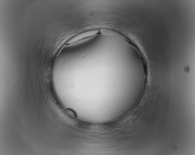 X0000116290105200912211849