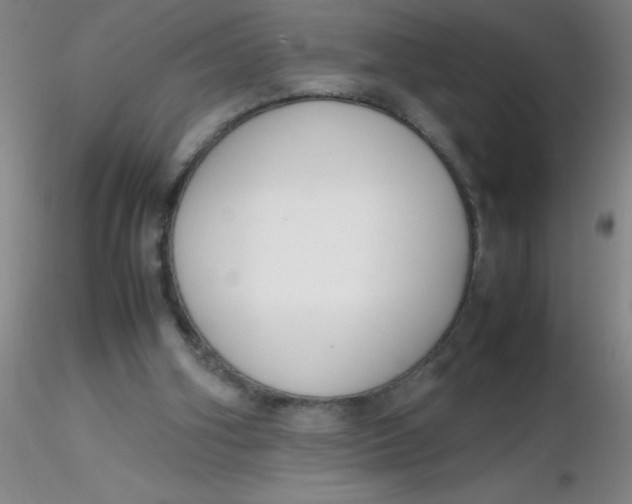 X0000116290106200912211849