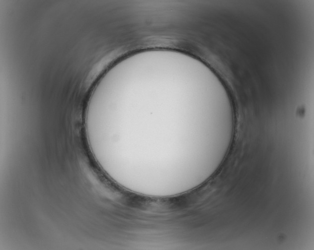 X0000116290107200912211849