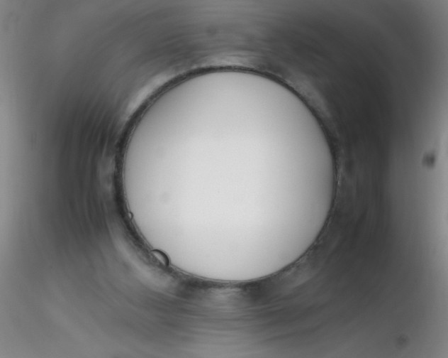 X0000116290108200912211849