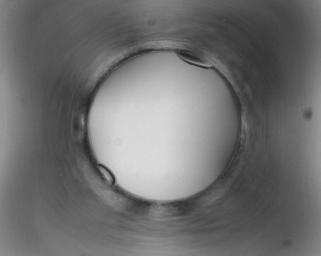 X0000116290109200912211849