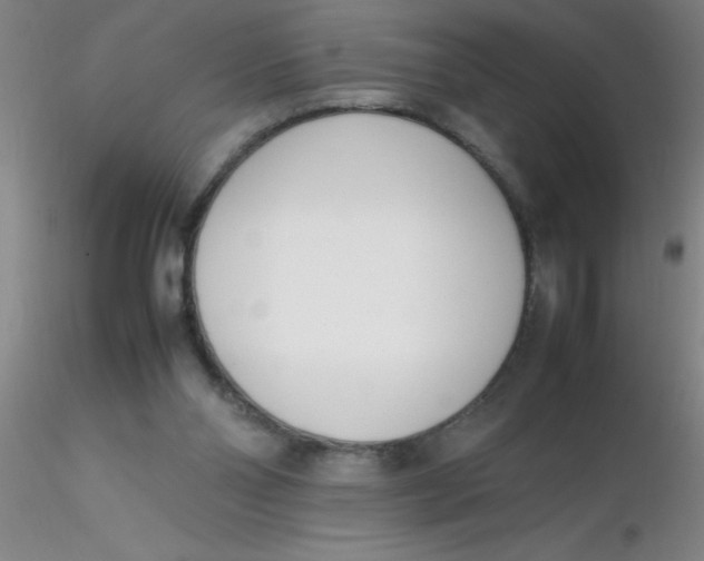 X0000116290110200912211849