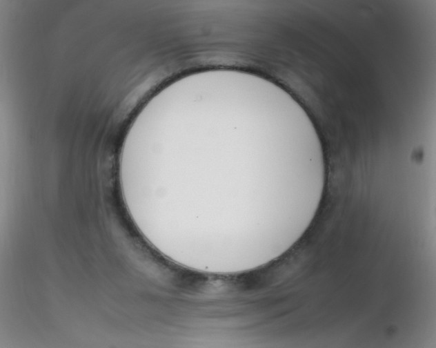 X0000116290111200912211849