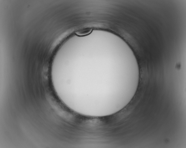 X0000116290112200912211849