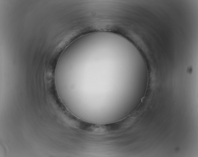 X0000116290113200912211849