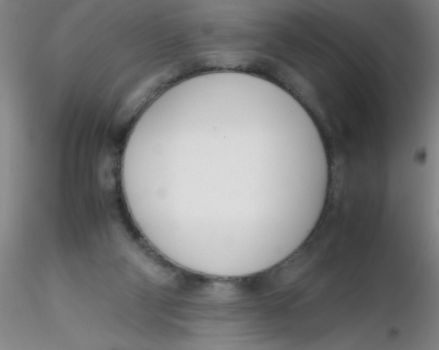 X0000116290114200912211849