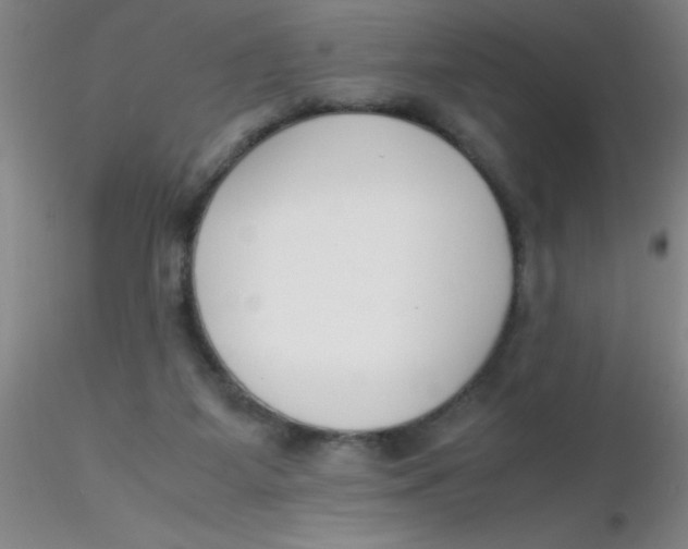 X0000116290115200912211849