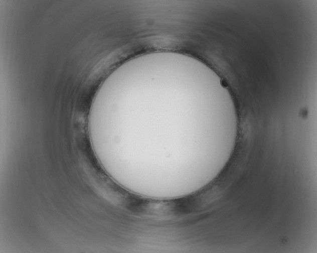 X0000116290117200912211849