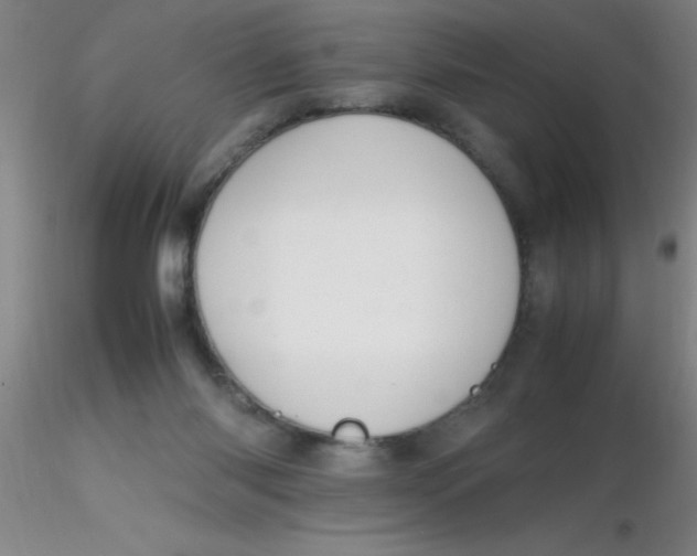 X0000116290118200912211849