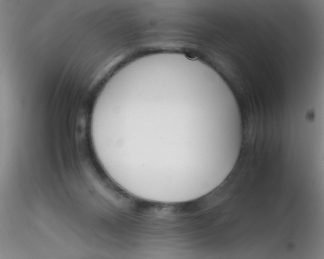 X0000116290120200912211849