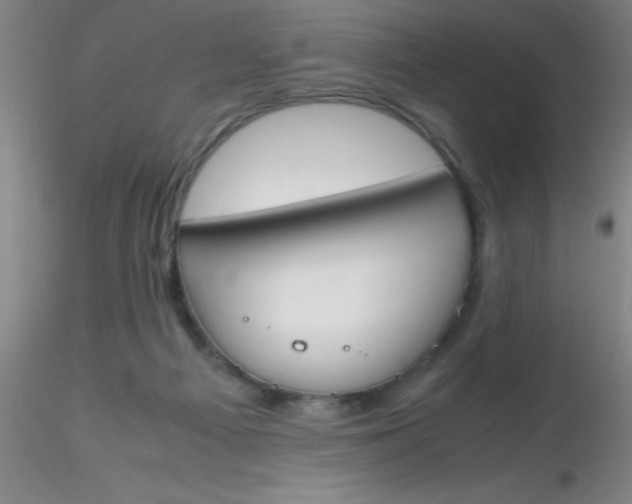 X0000116290121200912211848