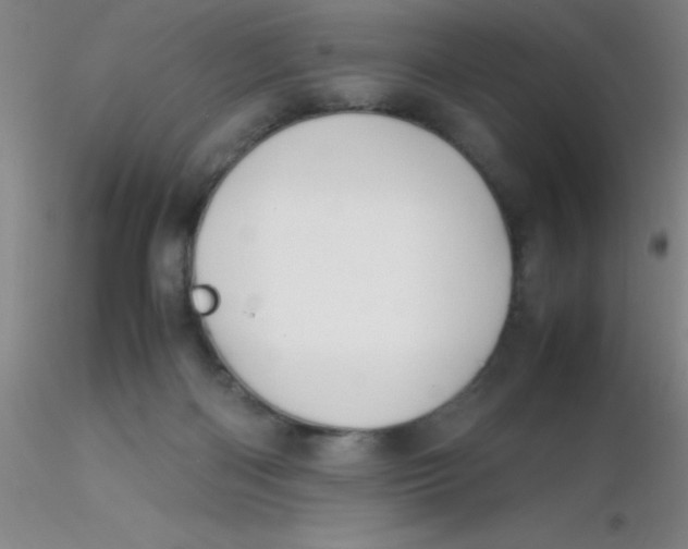 X0000116290122200912211848