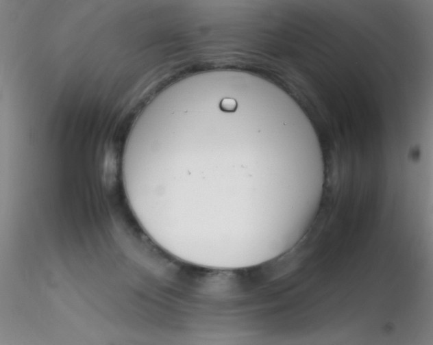 X0000116290124200912211848