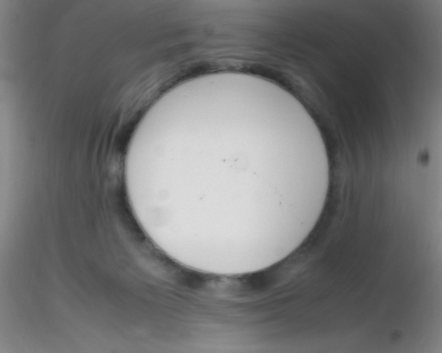 X0000116290125200912211848