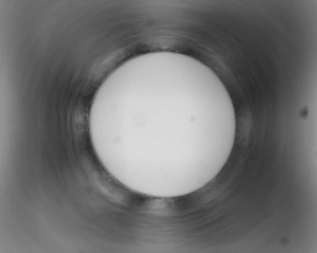 X0000116290126200912211848