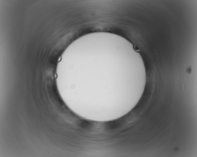 X0000116290127200912211848