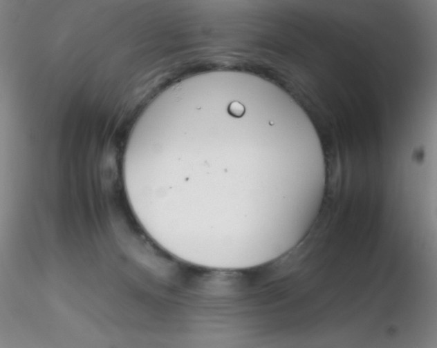 X0000116290128200912211848