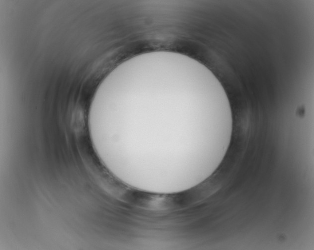 X0000116290130200912211848