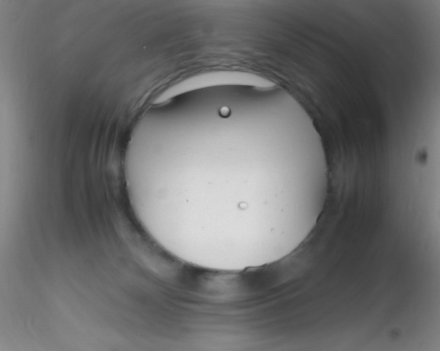 X0000116290132200912211848