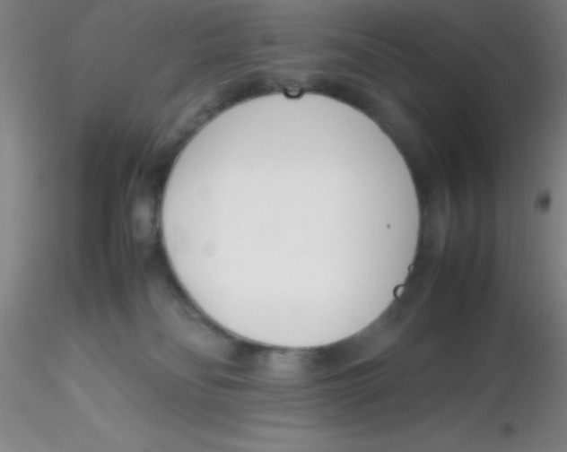 X0000116290134200912211848