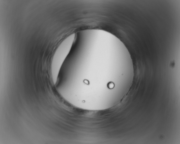 X0000116290136200912211848