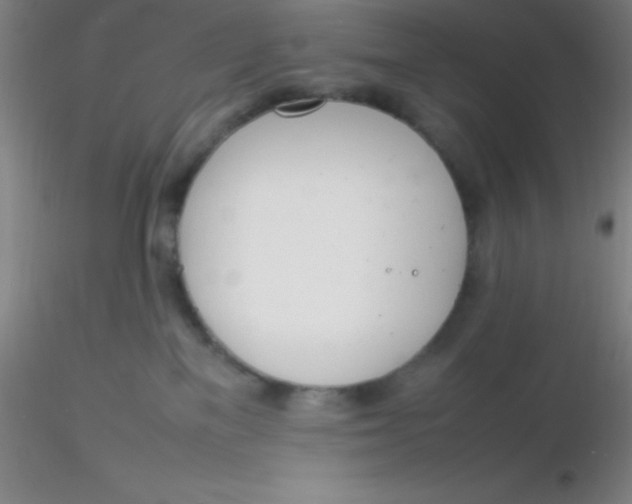 X0000116290137200912211848