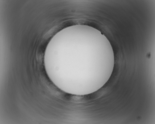 X0000116290139200912211848