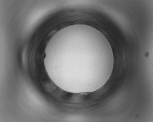 X0000116290140200912211848