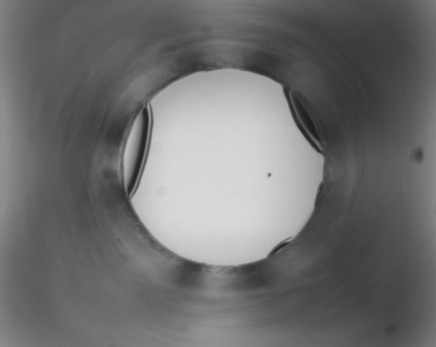 X0000116290141200912211848