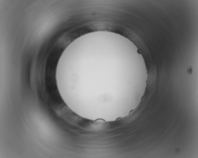 X0000116290142200912211848