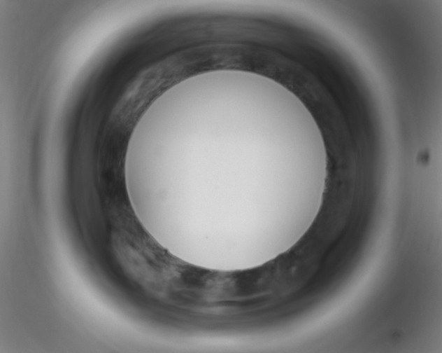 X0000116290143200912211848