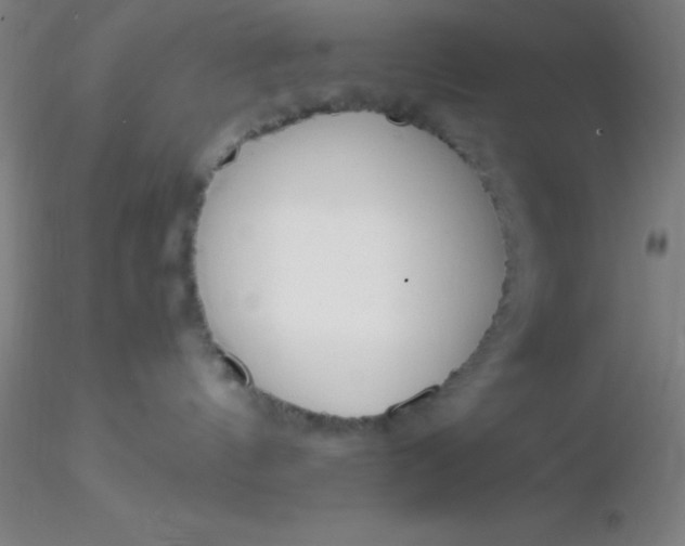 X0000116290144200912211848