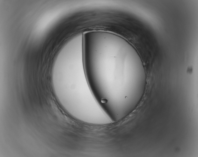 X0000116290146200912211848