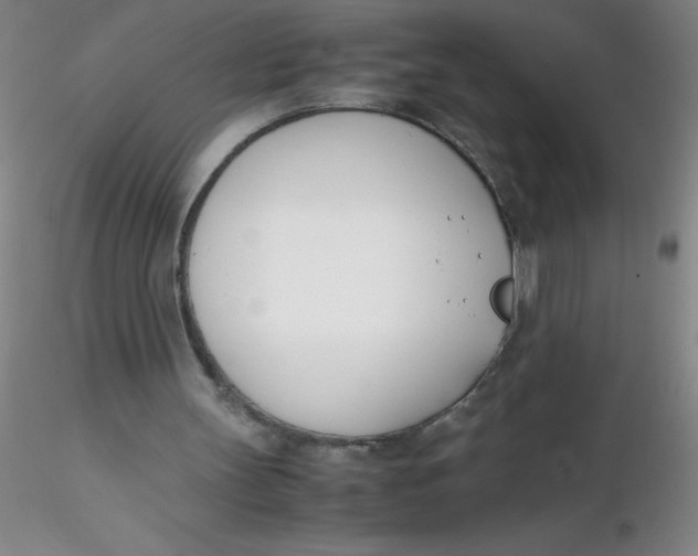 X0000116290147200912211848