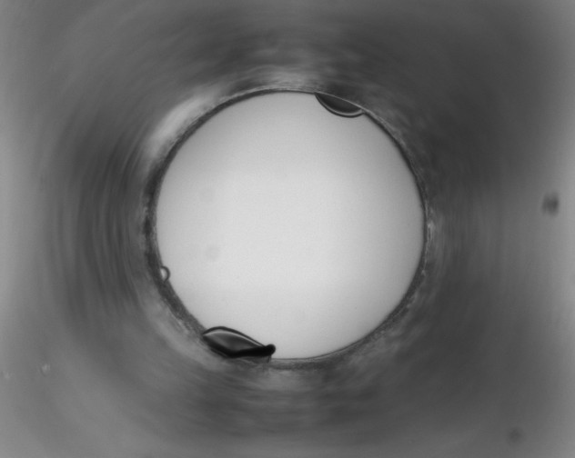 X0000116290149200912211848