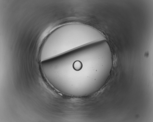 X0000116290150200912211848