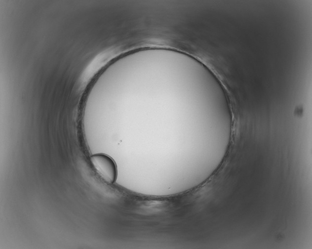 X0000116290151200912211848