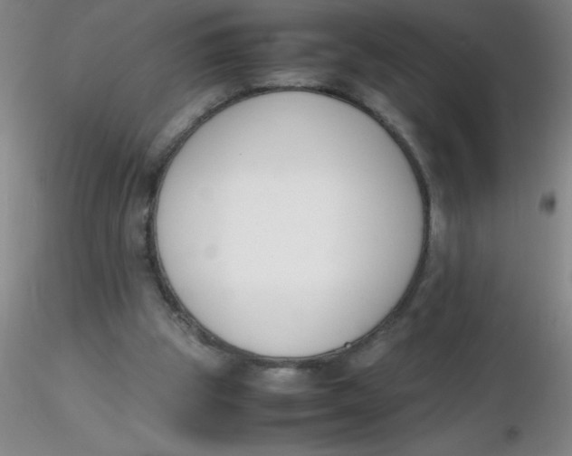 X0000116290153200912211848