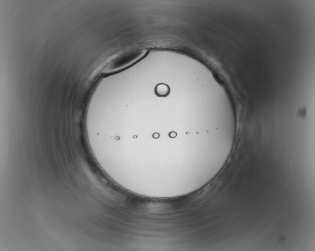 X0000116290154200912211848