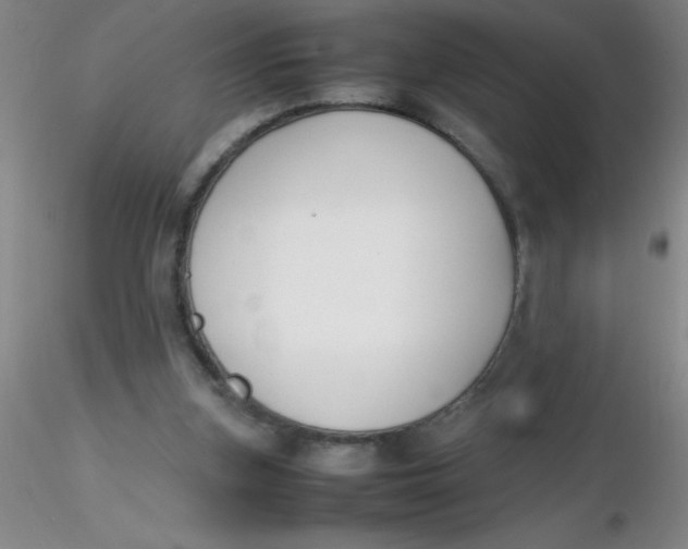 X0000116290155200912211848